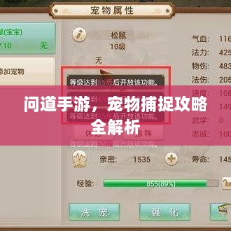 问道手游，宠物捕捉攻略全解析-图1