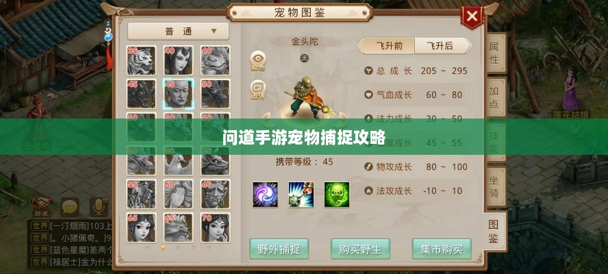 问道手游宠物捕捉攻略，轻松掌握捕捉技巧全解析-图1