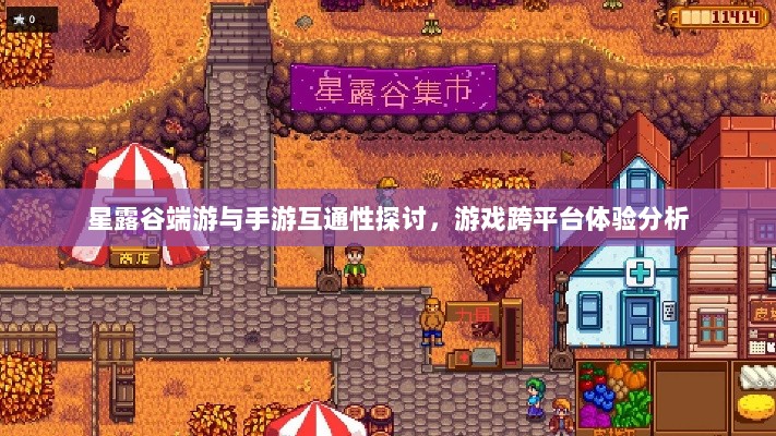 星露谷端游与手游互通性探讨,游戏跨平台体验分析-图1 星露谷端游与手游互通性探讨,游戏跨平台体验分析-图1