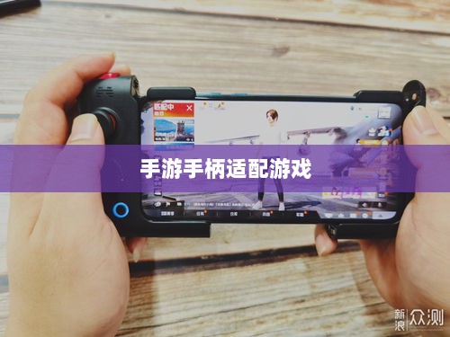 手游手柄适配游戏精选,打造极致游戏体验-图1 手游手柄适配游戏精选,打造极致游戏体验-图1