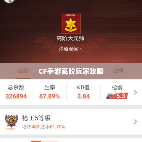 CF手游高阶玩家深度解析攻略-图1 CF手游高阶玩家深度解析攻略-图1