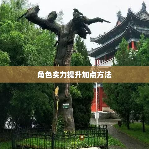 问道手游点化攻略，提升角色实力的巧妙加点方法-图1
