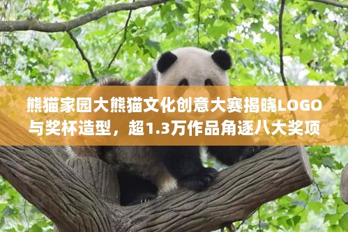 熊猫家园大熊猫文化创意大赛揭晓LOGO与奖杯造型，超1.3万作品角逐八大奖项-图1