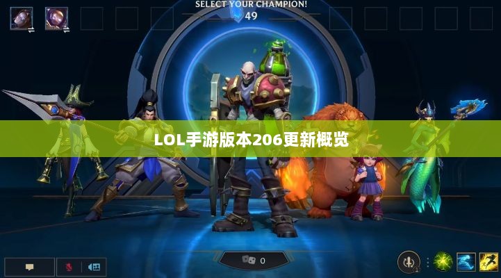 LOL手游更新解析，版本206更新时间及其内容概览-图1