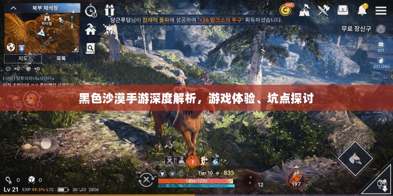 黑色沙漠手游深度解析，游戏体验、坑点探讨-图1