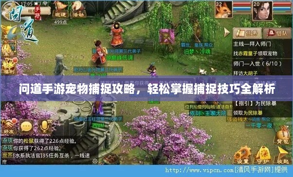 问道手游宠物捕捉攻略，轻松掌握捕捉技巧全解析-图1