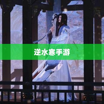 逆水寒手游悬赏战斗，探索与挑战的乐趣之旅-图1
