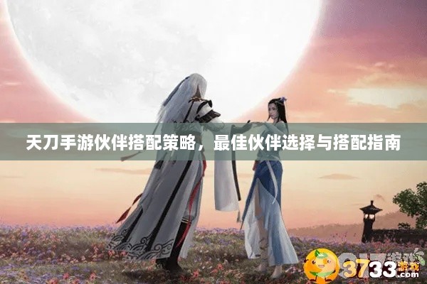 天刀手游伙伴搭配策略，最佳伙伴选择与搭配指南-图1
