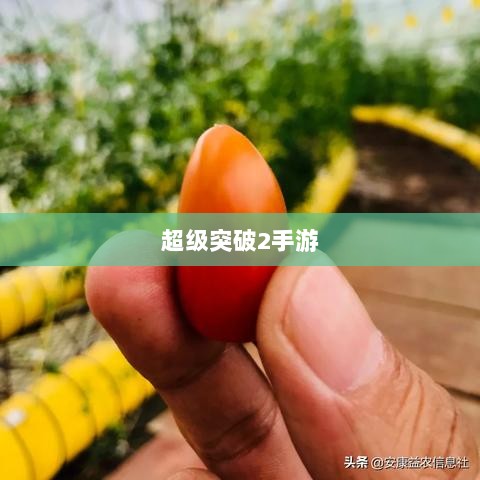 超级突破2手游探秘,潜力与期待-图1 超级突破2手游探秘,潜力与期待-图1