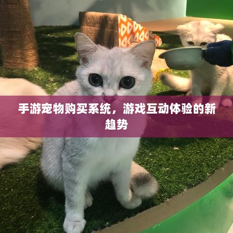 手游宠物购买系统,游戏互动体验的新趋势-图1 手游宠物购买系统,游戏互动体验的新趋势-图1