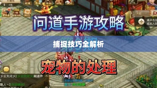 问道手游宠物捕捉攻略,轻松掌握捕捉技巧全解析-图1 问道手游宠物捕捉攻略,轻松掌握捕捉技巧全解析-图1