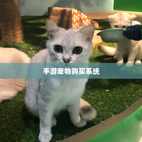 手游宠物购买系统，游戏互动体验的新趋势-图1