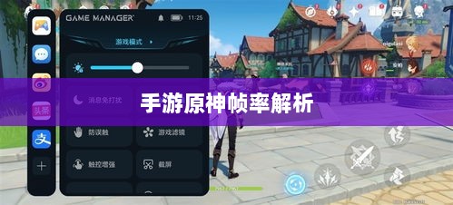 手游原神帧率解析,游戏帧率与游戏体验的紧密关联是否仅有三十帧?-图1 手游原神帧率解析,游戏帧率与游戏体验的紧密关联是否仅有三十帧?-图1