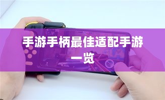 手游手柄最佳适配手游一览-图1 手游手柄最佳适配手游一览-图1