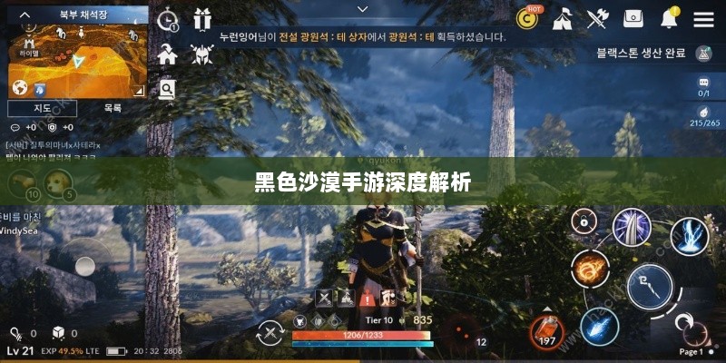 黑色沙漠手游深度解析，游戏体验、坑点探讨-图1