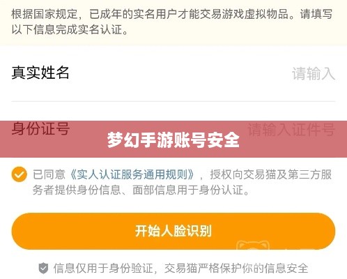 梦幻手游账号安全指南，如何预防账号被盗风险-图1