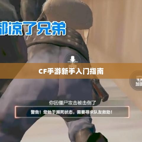 CF手游新手入门指南，装备选择与策略建议-图1