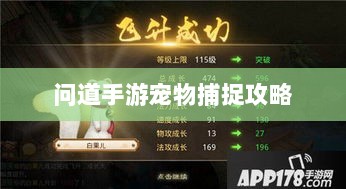 问道手游宠物捕捉攻略,轻松掌握捕捉技巧全解析-图1 问道手游宠物捕捉攻略,轻松掌握捕捉技巧全解析-图1