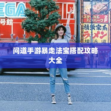 问道手游暴走法宝搭配攻略大全-图1 问道手游暴走法宝搭配攻略大全-图1