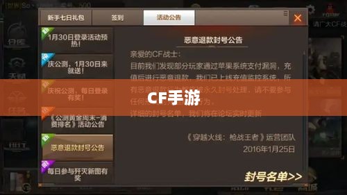 CF手游在iPad上的完美适配与流畅体验-图1 CF手游在iPad上的完美适配与流畅体验-图1