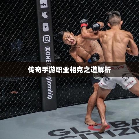 传奇手游职业相克之道解析-图1 传奇手游职业相克之道解析-图1
