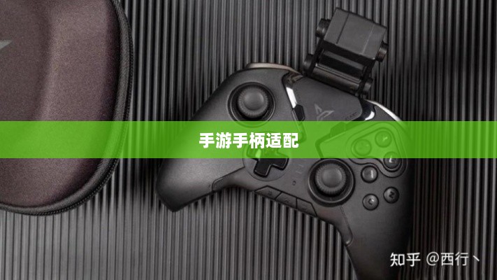 手游手柄适配游戏精选指南-图1