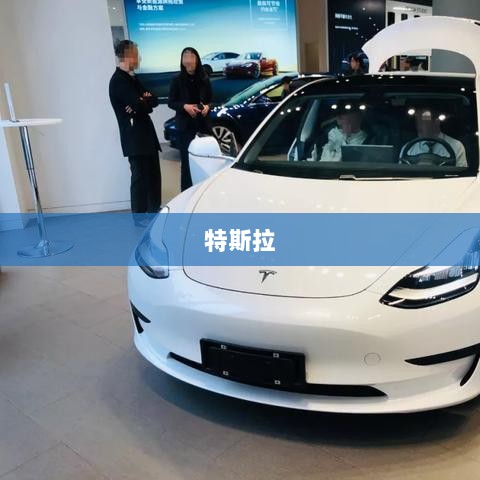 特斯拉股价逆袭,大涨背后的一度跌超6%揭秘!-图1 特斯拉股价逆袭,大涨背后的一度跌超6%揭秘!-图1
