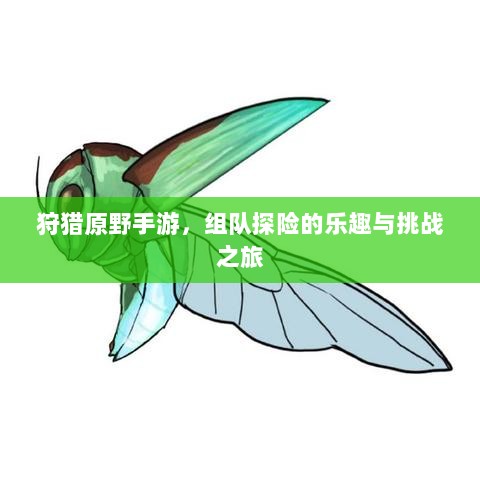 狩猎原野手游，组队探险的乐趣与挑战之旅-图1