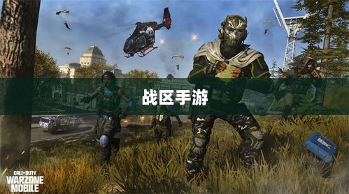 战区手游游客登录攻略详解-图1 战区手游游客登录攻略详解-图1