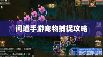 问道手游宠物捕捉攻略，轻松掌握捕捉技巧全解析-图1