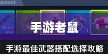手游老鼠的最佳装备选择攻略-图1