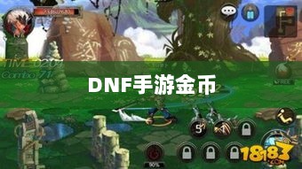 DNF手游金币囤积策略详解-图1