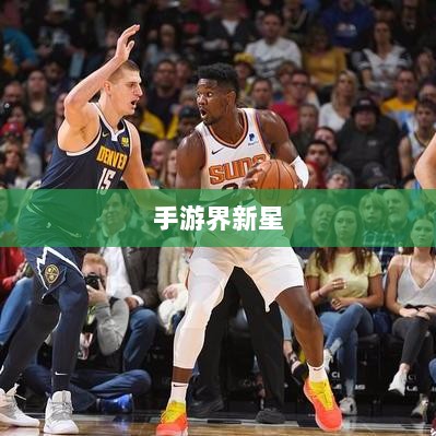 揭秘手游界新星，棒子手游探秘与解析-图1