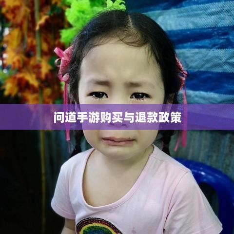 官方问道手游的购买与退款政策解读，能否退款？-图1