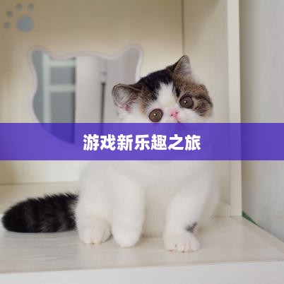 手游宠物购买系统,开启游戏新乐趣之旅-图1 手游宠物购买系统,开启游戏新乐趣之旅-图1