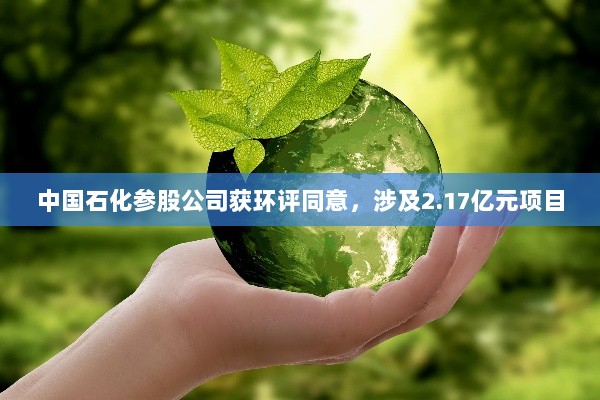 中国石化参股公司获环评同意，涉及2.17亿元项目-图1