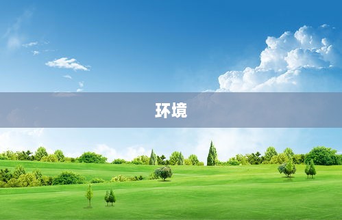 比亚迪控股子公司项目环评获原则同意，投资达135万元-图1