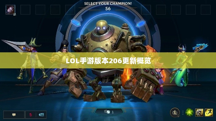 LOL手游更新解析，版本206更新时间及其内容概览-图1