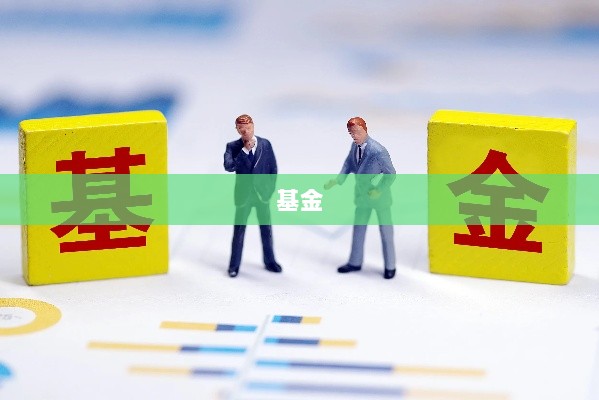多家基金年报数据失真,信息披露亟需加强监管与规范!-图1 多家基金年报数据失真,信息披露亟需加强监管与规范!-图1