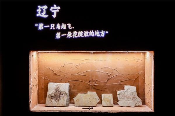 BOE(京东方)打造东北首个沉浸式数字艺术体验空间,科技赋能文旅,释放数字文旅新魅力-图5 BOE(京东方)打造东北首个沉浸式数字艺术体验空间,科技赋能文旅,释放数字文旅新魅力-图5