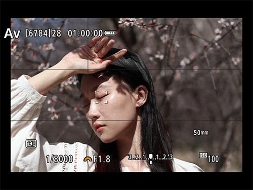 佳能EOS R50春日桃花人像实拍感受-图7 佳能EOS R50春日桃花人像实拍感受-图7