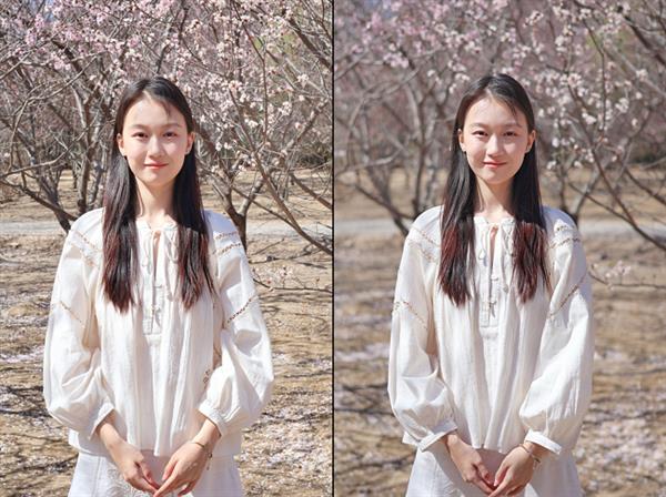 佳能EOS R50春日桃花人像实拍感受-图14 佳能EOS R50春日桃花人像实拍感受-图14