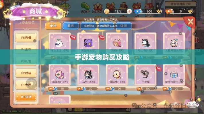 手游中宠物购买与体验攻略-图1