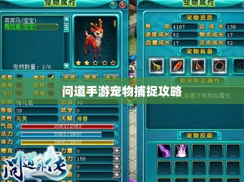 问道手游宠物捕捉攻略，轻松掌握捕捉技巧全解析-图1