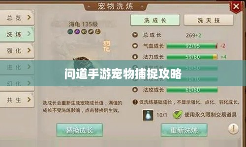 问道手游宠物捕捉攻略，轻松掌握捕捉技巧全解析-图1