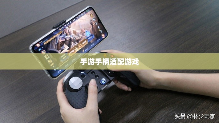 手游手柄适配游戏及更佳体验盘点-图1