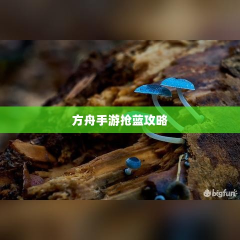 方舟手游抢蓝攻略,揭秘抢蓝秘诀与最佳食物选择指南-图1 方舟手游抢蓝攻略,揭秘抢蓝秘诀与最佳食物选择指南-图1