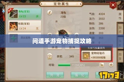 问道手游宠物捕捉攻略，轻松掌握捕捉技巧全解析-图1