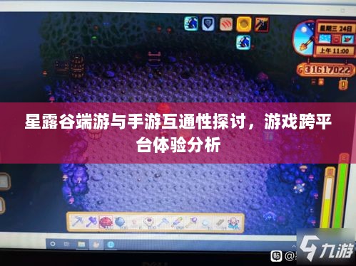 星露谷端游与手游互通性探讨，游戏跨平台体验分析-图1