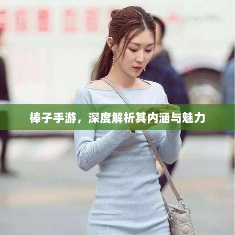 棒子手游,深度解析其内涵与魅力-图1 棒子手游,深度解析其内涵与魅力-图1